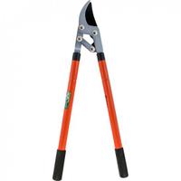 Troncarami Telescopica Cesoia Potatura Tagliarami