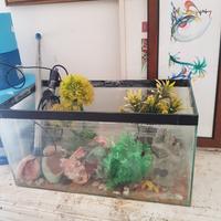 ACQUARIO 30 LITRI CON ACCESSORI