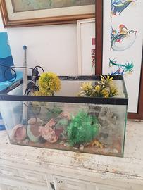 ACQUARIO 30 LITRI CON ACCESSORI