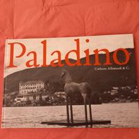 PALADINO 🔵🔵🟧🟧🟫🟫⬛️🟦🟡🟨🟢