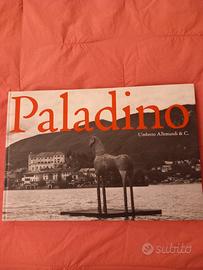 PALADINO 🔵🔵🟧🟧🟫🟫⬛️🟦🟡🟨🟢