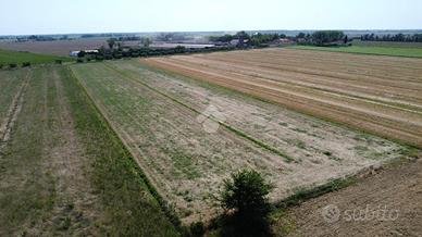 TERRENO A PISA