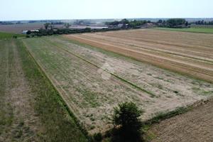 TERRENO A PISA
