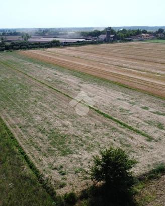 TERRENO A PISA