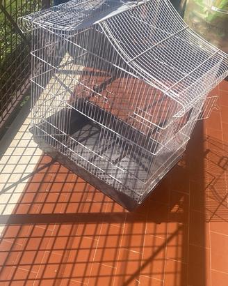 Voliera gabbia per pappagalli