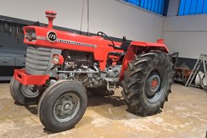 Trattore Massey Ferguson 175