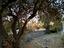 Immagine 22