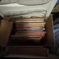 Lotto 33 giri uso artistico