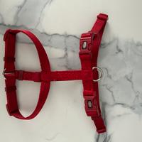 Pettorina x cani taglia S-M rossa
