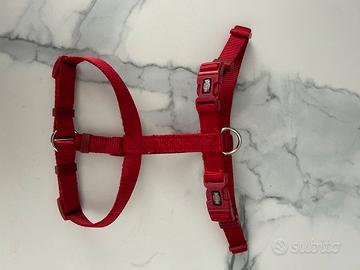 Pettorina x cani taglia S-M rossa