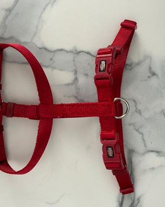 Pettorina x cani taglia S-M rossa