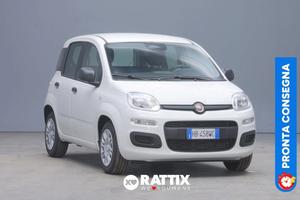FIAT panda iii 2024 Pandina 1.0 firefly hybrid Pop