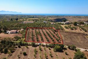 Terreno agricolo a Partinico, Contrada Campo