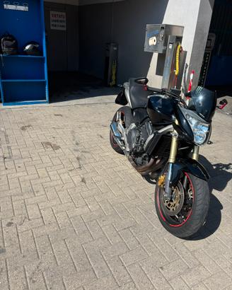 Hornet 600
