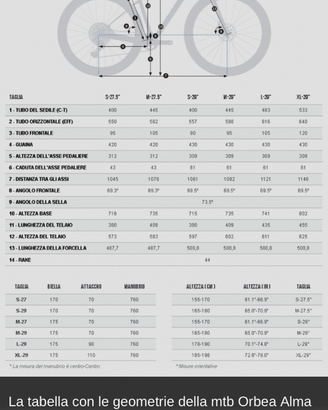 Bici mtb alma