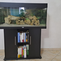 Acquario juwel Rio 180lt