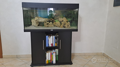 Acquario juwel Rio 180lt