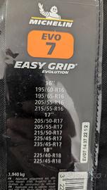 Michelin Easy Grip Evolution Catene calze da neve