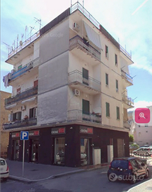 Libero vicino al Santuario