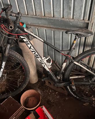 Bici olympia