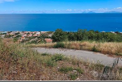 RGE 8/2024 Trib Patti