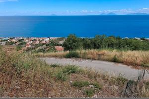 RGE 8/2024 Trib Patti