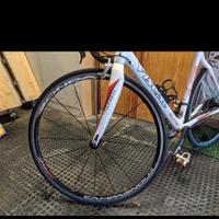 Bici strada carbonio Visual 