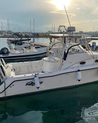 Catamarano prokat 28.6 con suzuki da 250 cv 2016