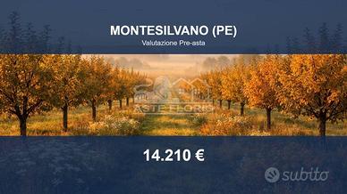 Immobile in asta di 1600 m² a Montesilvano