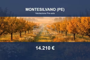 Immobile in asta di 1600 m² a Montesilvano