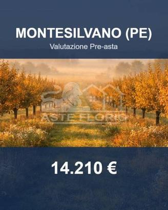Immobile in asta di 1600 m² a Montesilvano