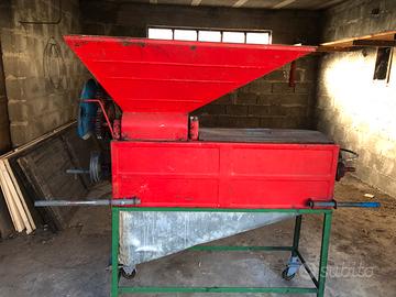 Pigiadiraspatrice zilli