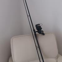 canna da pesca per la pesca alla carpa 