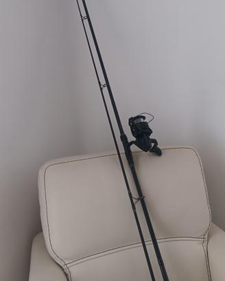 canna da pesca per la pesca alla carpa 