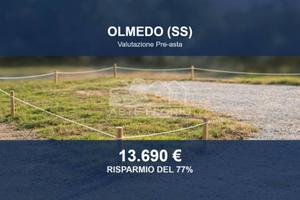 Immobile in asta di 11729 m² a Olmedo