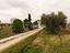 Immagine 16