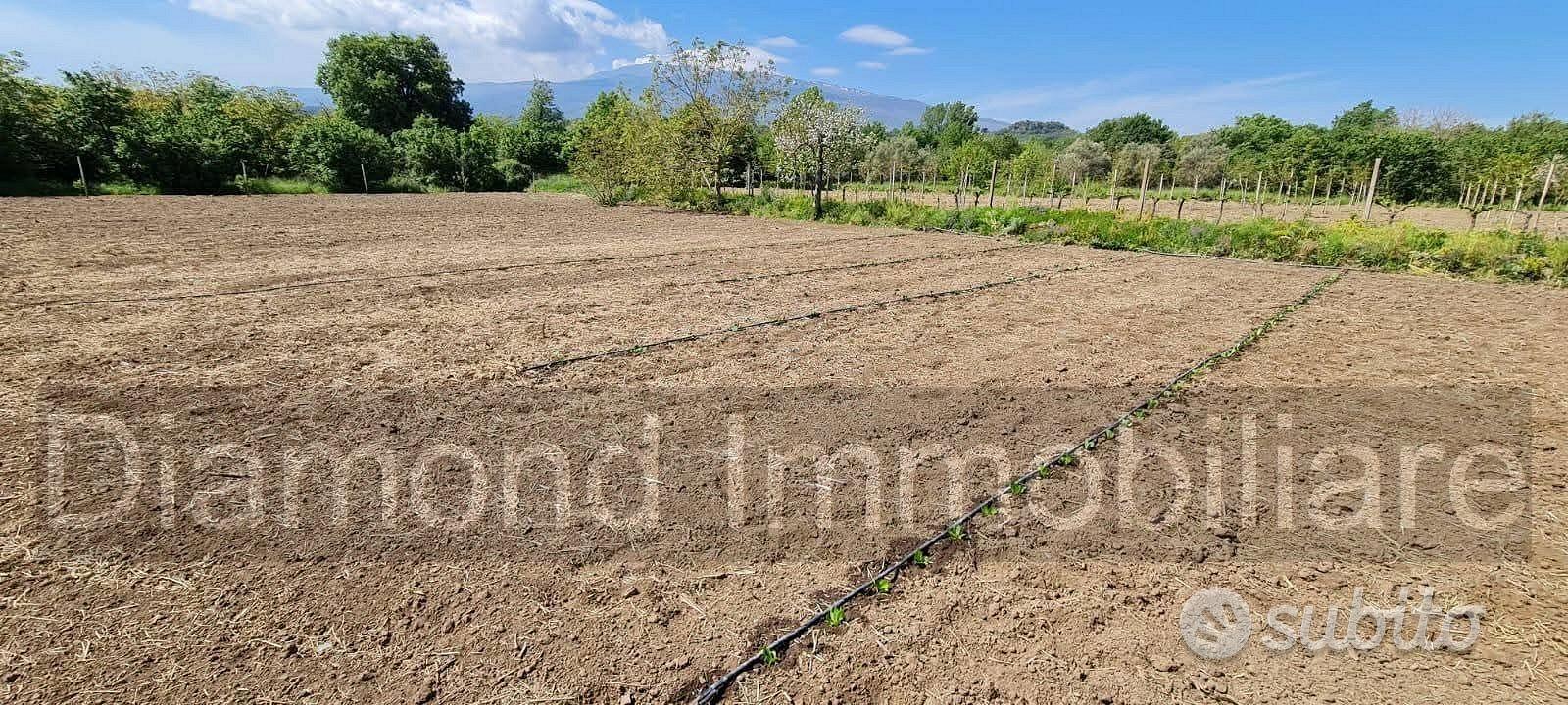 Terreno con rustico a Castiglione di Sicilia - Vista 3