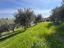 Immagine 24