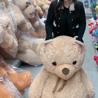 Orso pelúcia