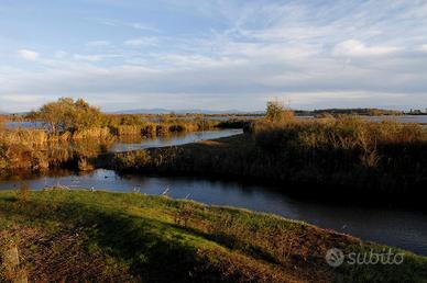 Valle da pesca a Grado