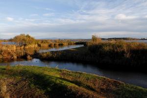 Valle da pesca a Grado