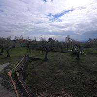 Terreno - San Pietro Clarenza