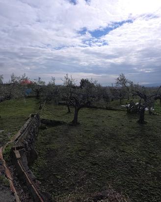 Terreno - San Pietro Clarenza