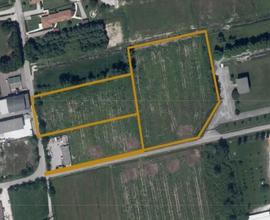 Vendita all'asta - terreno agricolo in data 22 Nov