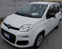 fiat-panda-1-2-easypower-easy-adatta-x-neopatentat