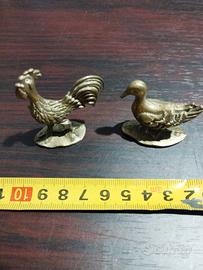 GALLO ANATRA IN OTTONE