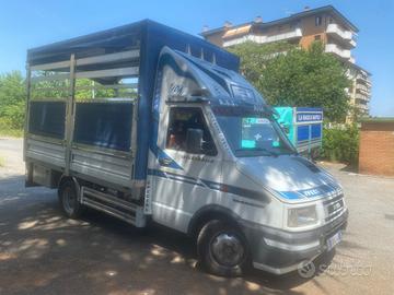 iveco daily 35-12 1999 cassone in acciaio