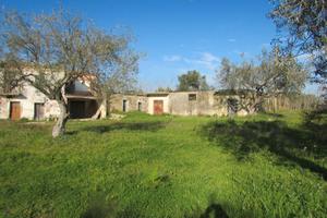 Terreno Edificabile D2 in C/da Grotticelli