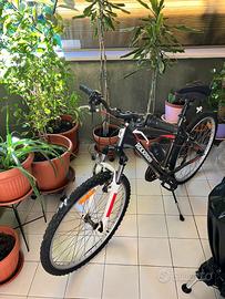 Decathlon rockraider