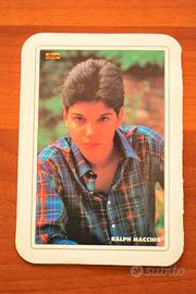 Cartolina foto "Ralph Macchio" anni 80